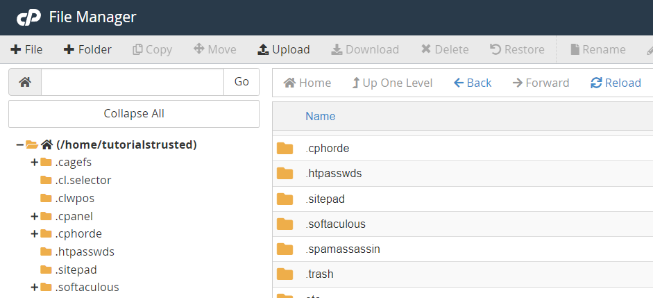 How To Set Up cPanel File Manager: Creating a New File or New Folder..?